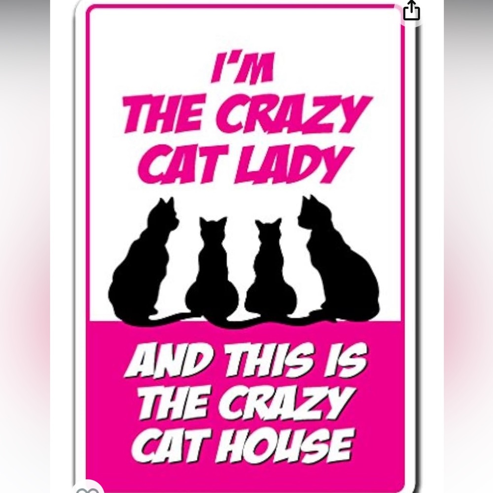 ✨ I’m the Crazy Cat Lady‼️✨Hot Pink Vintage Style Hanging Metal Sign 8”x12”✨